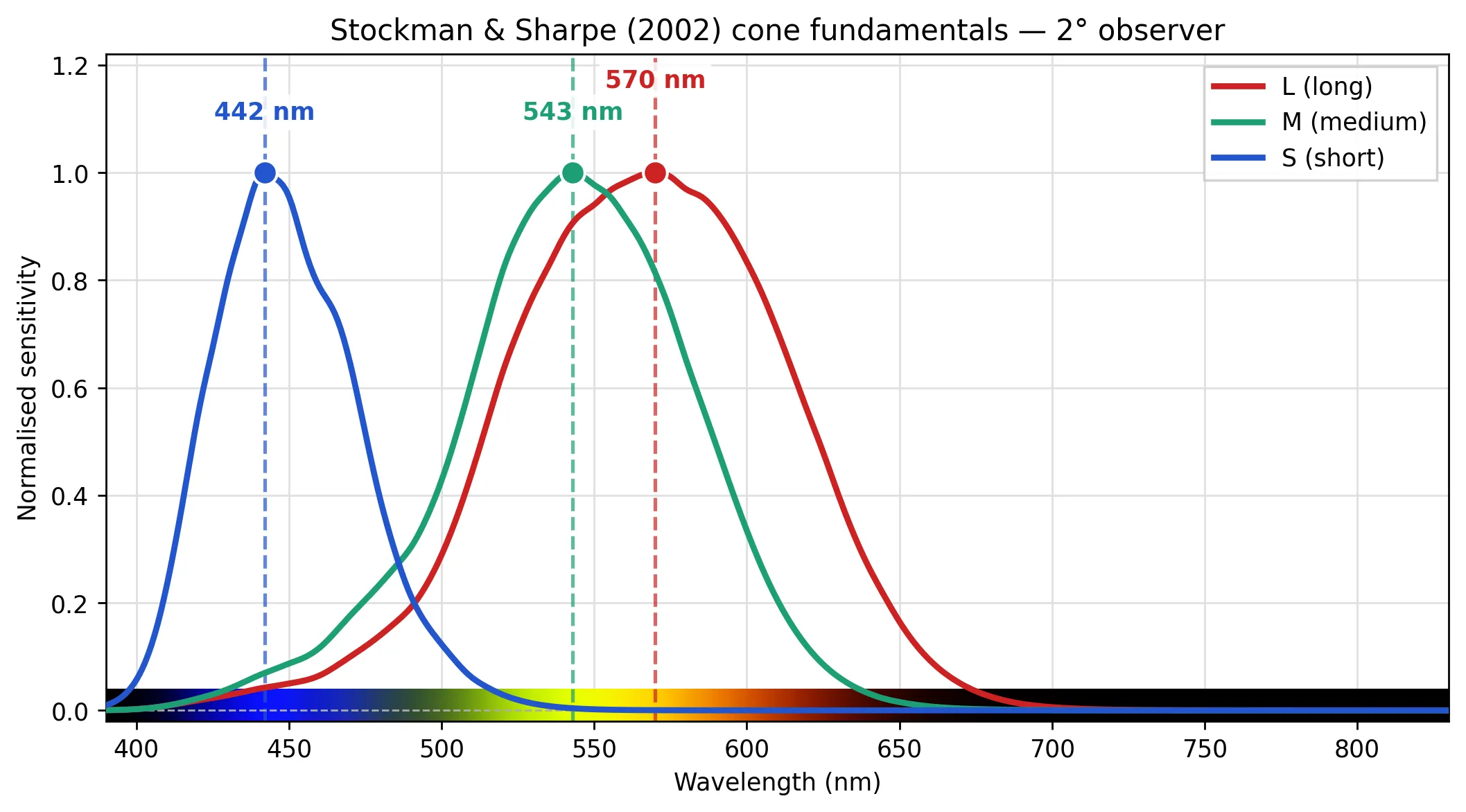 cone_fundamentals.webp