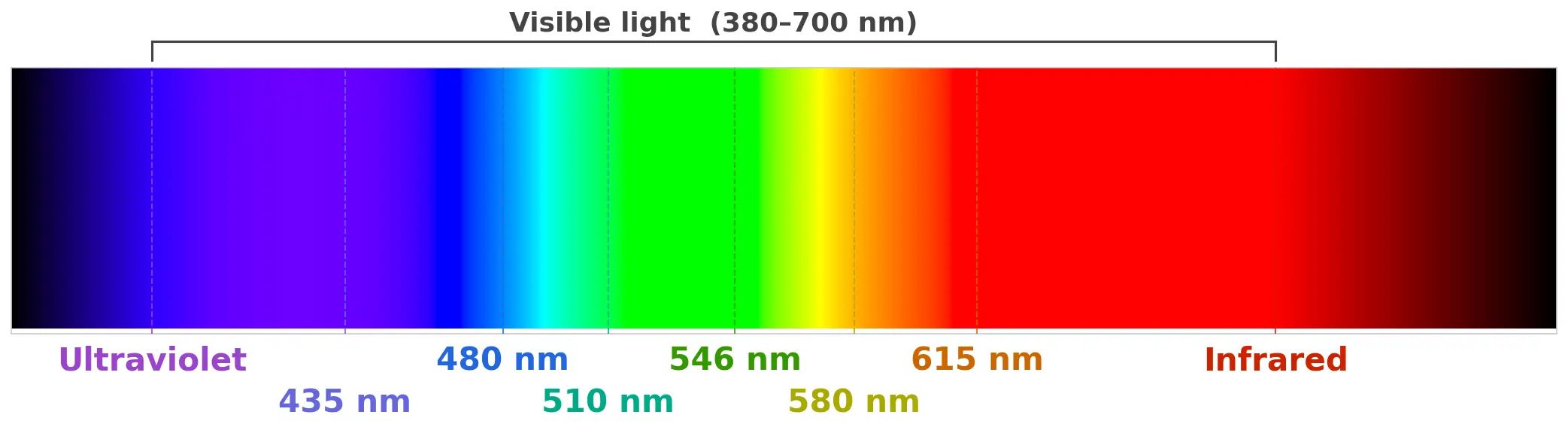 light_dispersion.webp